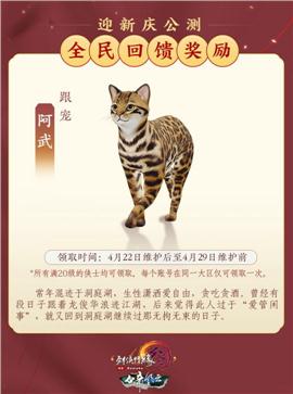 秦风神天龙八部私服